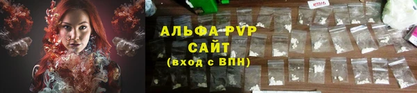 крисы Богородск