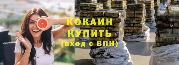 ALPHA PVP Богородицк