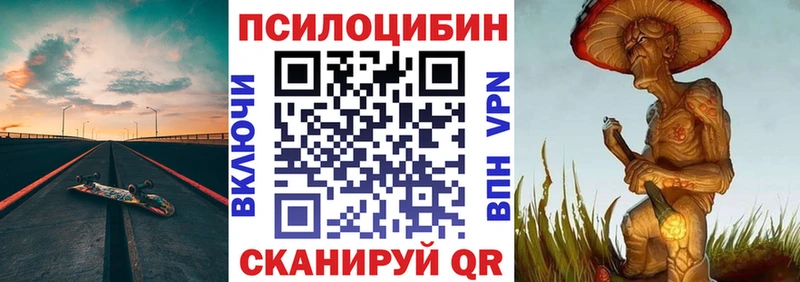 Псилоцибиновые грибы Psilocybe  Медвежьегорск 